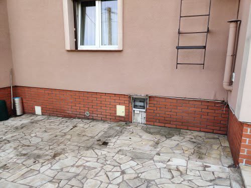 Drzewo po utylizacji