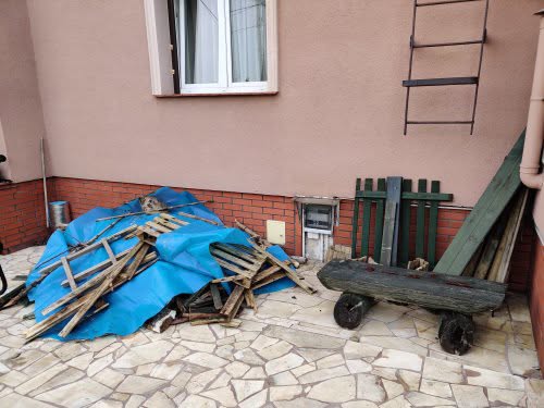 Drzewo przed utylizacją